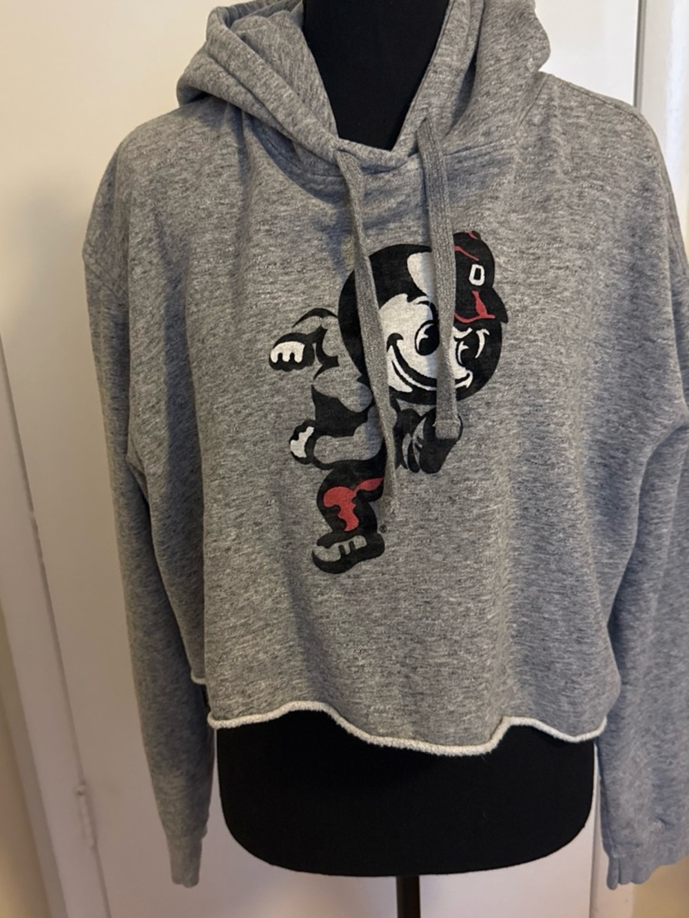 Tailgate Ohio State Buckeyes Retro Brutus Cropped Hoodie Gray XL NCAA